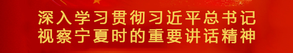 深入學(xué)習貫徹習近平總書記 視察寧夏時的重要講話精神